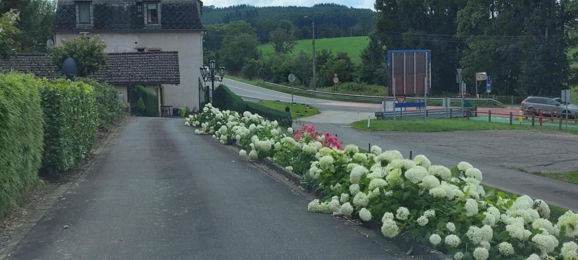 Chalet Rose Villa Burg Reuland Luaran gambar